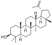 Lupeol Natural Plant Extracts White Powder 545-47-1 For Pharmacological Experiments