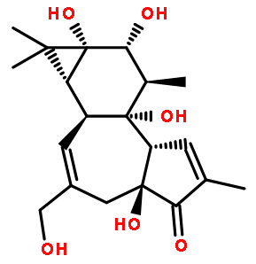 High Purity Phorbol Cosmetic Plant Extract 17673-25-5 White Powder