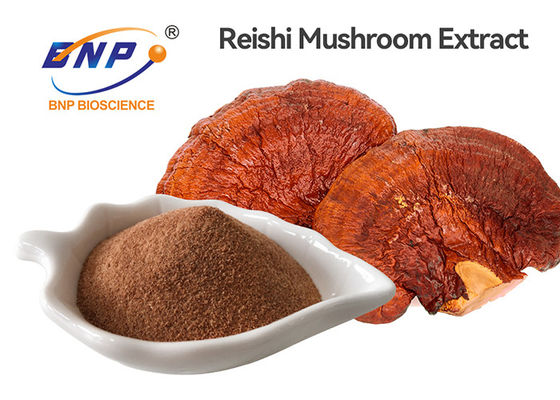 30% Polysaccharide 2% Triterpene Ganoderma Lucidum Extract Powder Red Reishi Mushroom