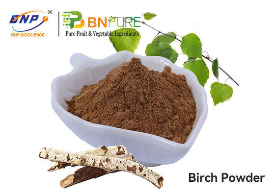 Pure Natrual Birch Bark Betulin Extract Birch Tree Bark Extract