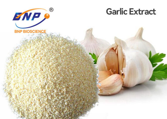 Antibiotic Allium Sativum Bulb Extract 5% Allicin Fine Powder