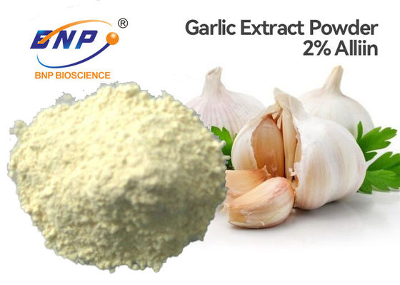 White Odorless Garlic Extract Powder 2% Allicin HPLC Test