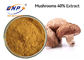 GMP Dried Shiitake Mushroom Extract Powder Yellow Brown
