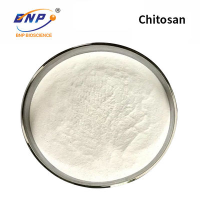White Chitosan Powder Chitin Low Molecular Weight Nano Partical