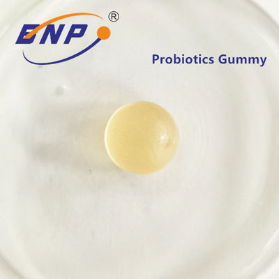 Probiotic Gummy Candy Probiotics Gummies For Digestive Health
