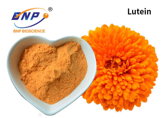 Natural Supplements Marigold Extract Lutein Orange Powder 5%-90% For Eyes