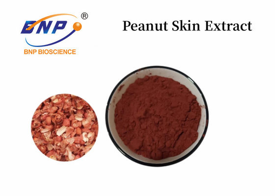 Peanut Skin Extract 95% Proanthocyanidins In Pharmaceutical Field