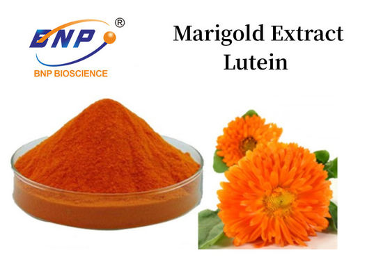 Marigold Extract Lutein Powder 5%-90% Orange Yellow Powder