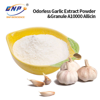 Odorless Garlic Extract Powder &amp; Granule A10000 Allicin Customized Accepted
