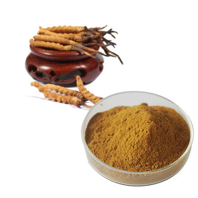 Natural Plant Extracts with pH 6.5-7.5 for B2B Buyers