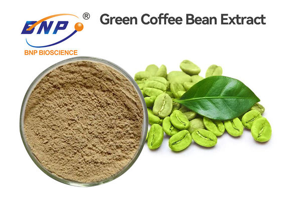 Green Coffee Bean Extract Chlorogenic Acid 50% Food Grade