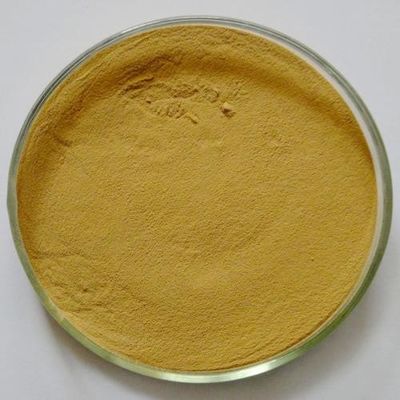 GMP Kosher Natural Sophora Japonica Extract Quercetine Dihydrate 95%
