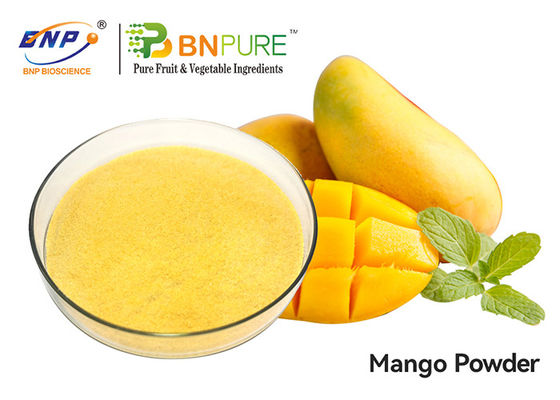 4: 1 Mango Seed Extract Powder 100% Water Soluble Mangifera Indica