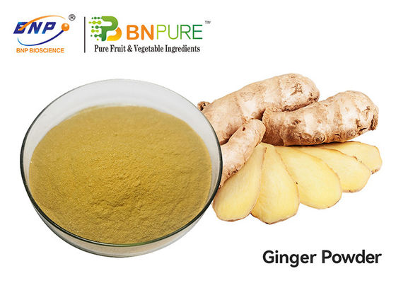 Zingiber Officinale Ginger Root Extract Powder Yellow Brown