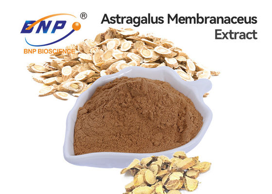 High Quality Astragalus Polysaccharide 10%-70% Astragalus Extract