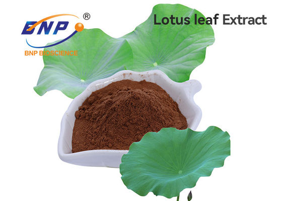 Weight Loss Nuciferin 2% ,98% Lotus Leaf Extract from Silk Road Enterprise