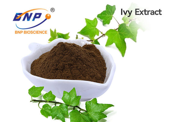 Natural Ivy Leaf Extract Powder Hedera Helix Extract 10:1 or 10% Hederacoside C