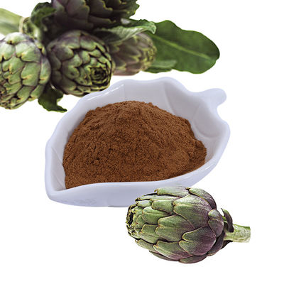 Wholesale Artichoke seeds protect liver healthcare supplement weight loss Artichoke Extract Powder