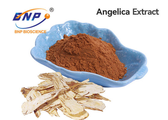 Dong guai Extract Ligustilide 1% Brown Yellow Powder