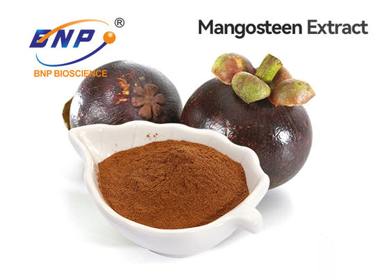 GMP/ISO Certified Natural 10%-90% Alpha-mangostin Mangosteen Extract Powder From Silk Road Enterprise China