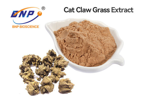 Cat Claw grass Extract Alkaloid 3% Yellow Powder