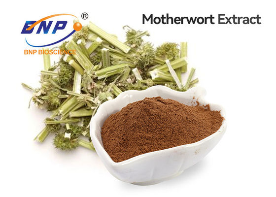 Motherwort Extract Food Grade Brown Powder
