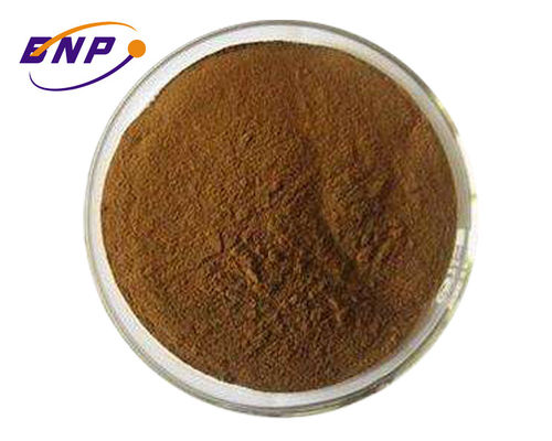 Brown Fine Cordyceps Mushroom Extract Powder 50% Polysaccharides