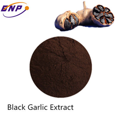 S-Allyl-Cysteine 0.1% Black Garlic Extract B1600 Allium Sativum Bulb