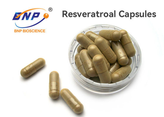 100% Natural OEM Supplement 100mg Resveratrol Capsules