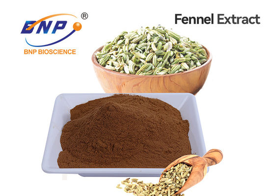 Fennel Extract Brown Yellow Powder Food Grade