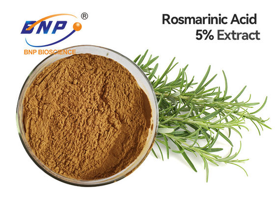 GMP High Quality Rosemary Extract with 5% Carnosic Acid And Carnosol