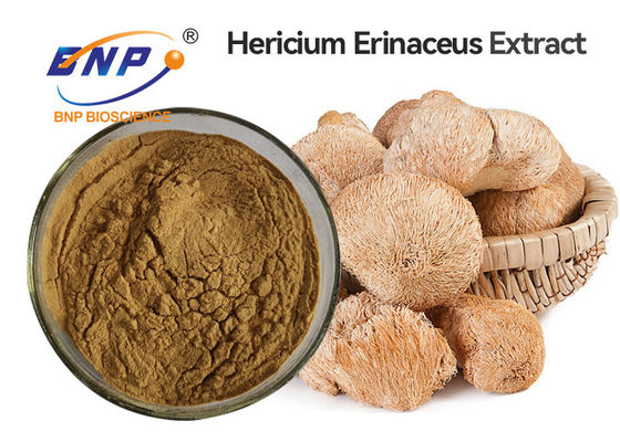 Brown Hericium Erinaceus Mushroom Extract Powder Raw Material