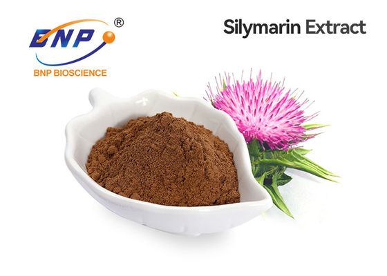 Antioxidant Milk Thistle Fruit Extract 30% Silybin 80% Silymarin Silybum Marianum