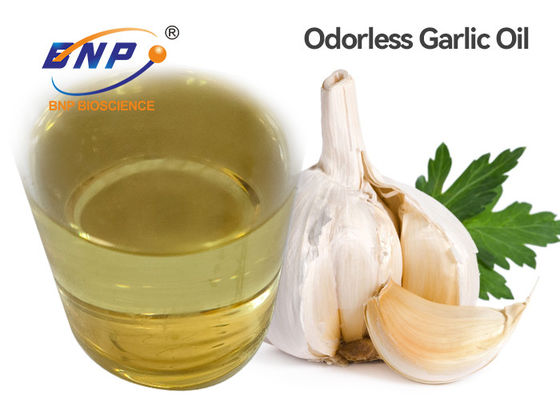 Odorless Natural Essential Garlic Oil 100: 1 Allium Sativum L.