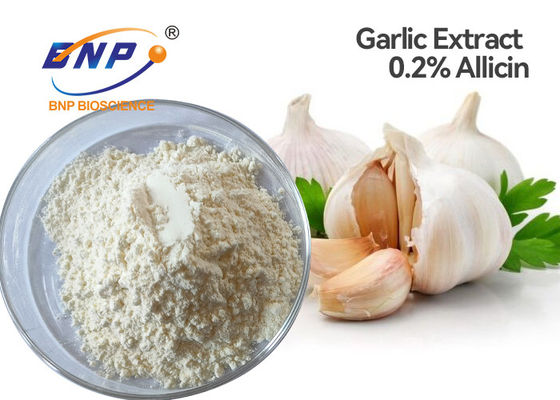 0.2% Allicin Garlic Extract Powder Health Product Food Grade