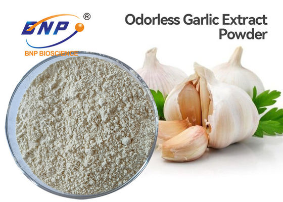 Light Yellow Odorless Garlic Extract Powder Feed Additive