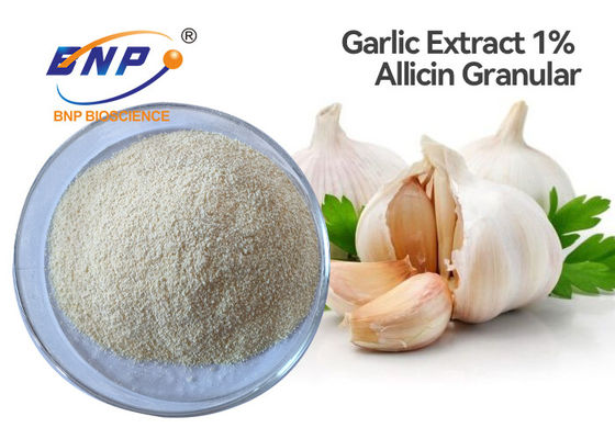 1% Allicin Garlic Extract Powder Granular
