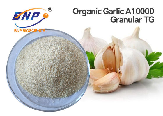 1% Allicin Organic Garlic Extract A10000 Granular Allium Sativum L.