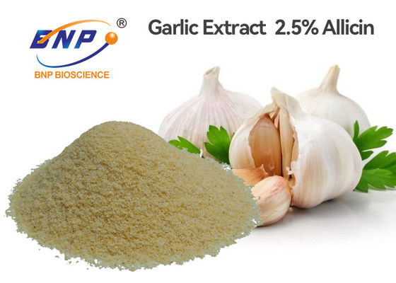 2.5% Alliin OEM Garlic Extract Powder Light Yellow GMO Free