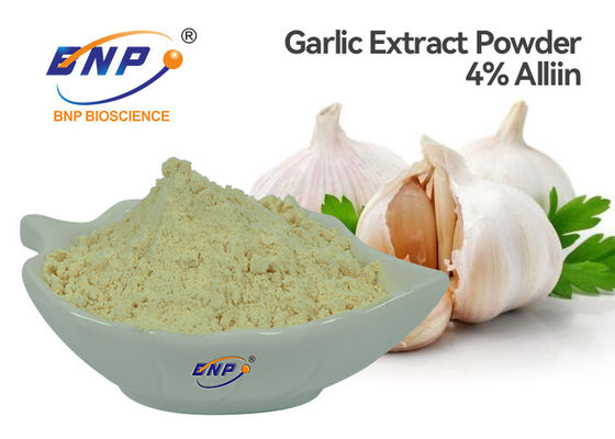 GMP Odourless Garlic Extract Powder 4% Allicin BNP Brand
