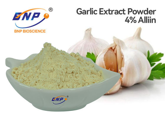 GMP Odourless Garlic Extract Powder 4% Allicin Silk Road Enterprise Brand