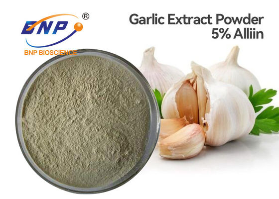 GMP Antibacterial Allium Sativum Bulb Extract 5% Allicin White Powder