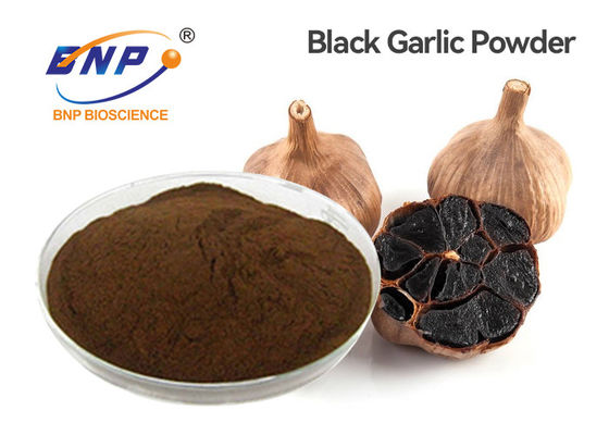 Less Odor Fermented Black Garlic Powder SAC 0.1% Polysaccharide 0.5%