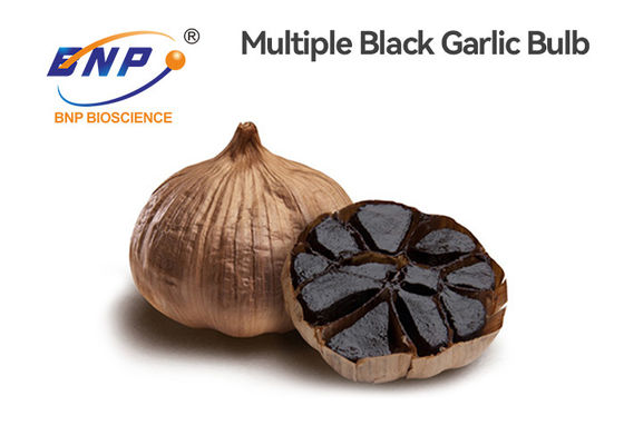 Fermented Multiple Bulb Black Garlic Extract