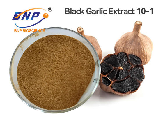 Brown Fine Powder Black Garlic Extract 10-1 Polysaccharide