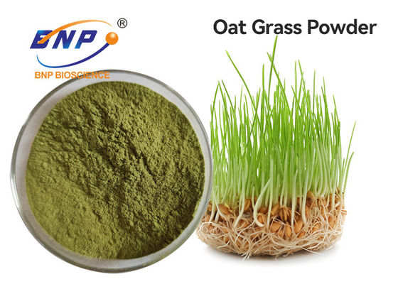 80 Mesh Fruit Vegetable Powder Supplement Avena Fatua Organic Oat Grass Juice Powder