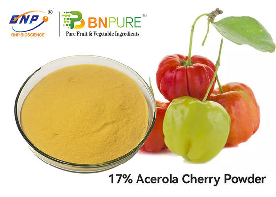 GMP Acerola Cherry Extract Powder Vitamin C 5%