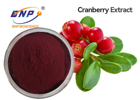 Bilberry Extract Powder With Natural Anthocyanin 25%