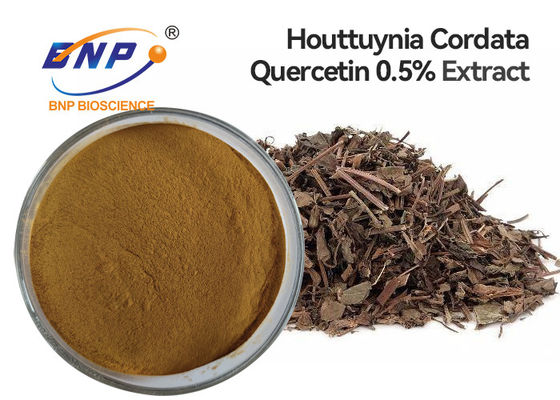 High Quality Houttuynia Cordata Extract Powder Herba Houttuyniae Extract Quercetin