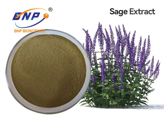 Manufacturer Supply Sage Extract Powder Clary Sage Extract
